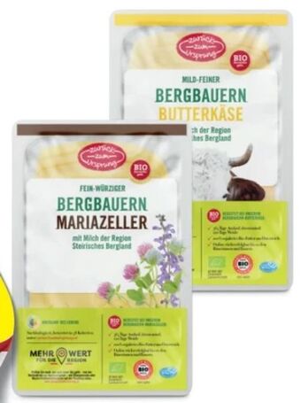 Hofer Bio-bergbauern käse Angebot