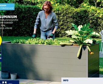 Hofer Hochbeet aluminium Angebot
