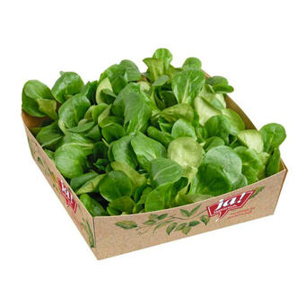 Billa Ja! natürlich vogerlsalat aus österreich / italien aus italien Angebot