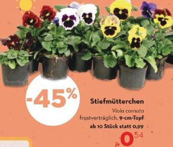 Bellaflora Stiefmütterchen 9-cm-Topf Angebot