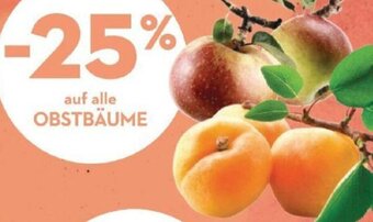 auf alle OBSTBÄUME