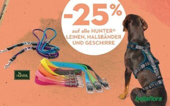 Bellaflora auf alle HUNTERⓇ LEINEN, HALSBÄNDER UND GESCHIRRE Angebot