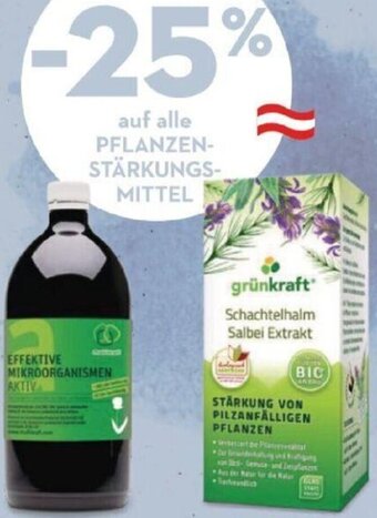 Bellaflora auf alle PFLANZEN-STÄRKUNGS-MITTEL Angebot