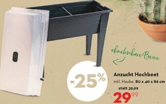 Bellaflora Anzucht Hochbeet inkl. Haube, 80 x 40 x 86 cm Angebot