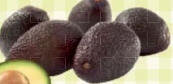 Maximarkt Avocado Angebot