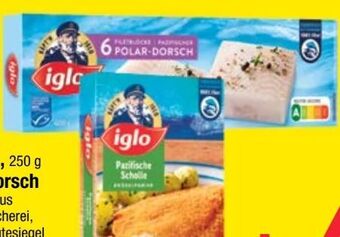 Maximarkt Scholle Angebot