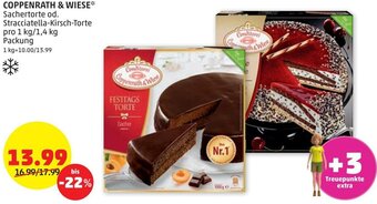 PENNY COPPENRATH & WIESE Angebot