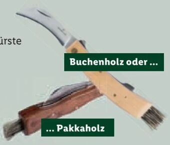 Lidl Pilzmesser Angebot