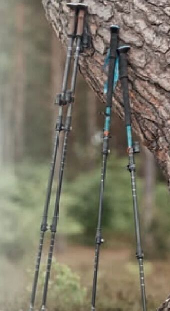 Lidl Aluminium trekkingstöcke Angebot