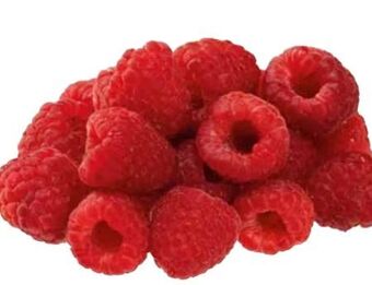 Transgourmet Himbeeren Angebot