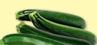 PENNY Zucchini Angebot
