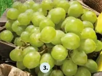 Hofer Trauben Kernlos Weiß 500g Angebot