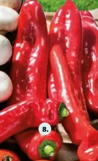 Hofer Spitzpaprika Rot 500g Angebot