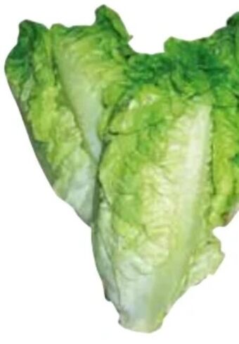 Transgourmet Salatherzen Angebot