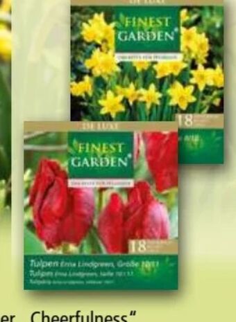 Norma Herbstblumenzwiebeln de luxe Angebot
