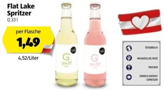 Hofer Flat Lake Spritzer 0.33L Angebot