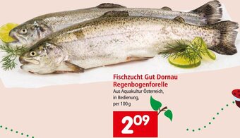 Interspar Fischzucht Gut Dornau Regenbogenforelle Angebot