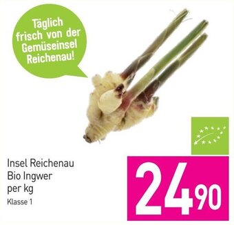 Sutterlüty Insel Reichenau Bio Ingwer per kg Angebot