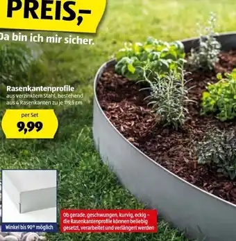 Hofer Rasenkantenprofile Per Set Angebot