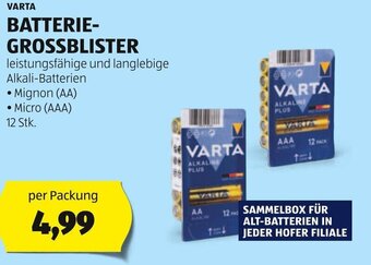 Hofer VARTA BATTERIE- GROSSBLISTER Angebot