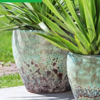 Lagerhaus MEGA COLLECTIONS Pflanztopf ,,Glaced off Low Egg" Maße (ØxH):33x24 cm Angebot