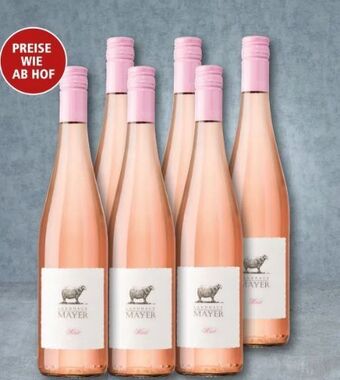 Interspar Rose Angebot