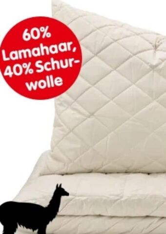 Interspar Polster lama Angebot