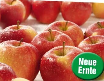 Spar Äpfel gala Angebot