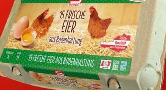 Spar Eier Angebot