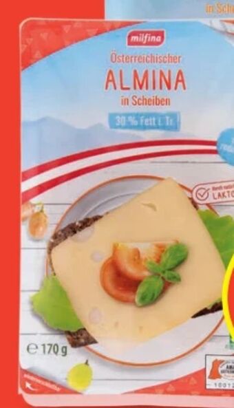 Hofer Käsescheiben Angebot