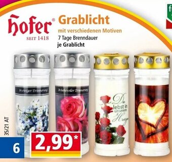 Norma Grablicht Angebot