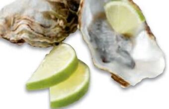 Metro Austern Angebot