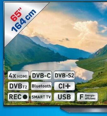 Metro Oled tv 65b39la Angebot