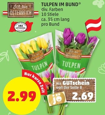PENNY Tulpen Im Bund 35 cm Angebot