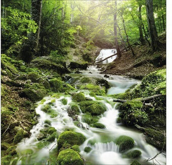 Hornbach Keilrahmenbild mystic ways 40x40 cm Angebot