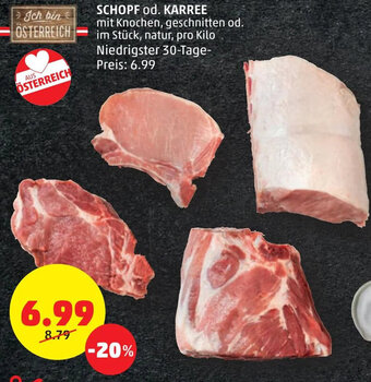 PENNY SCHOPF od. KARREE Angebot