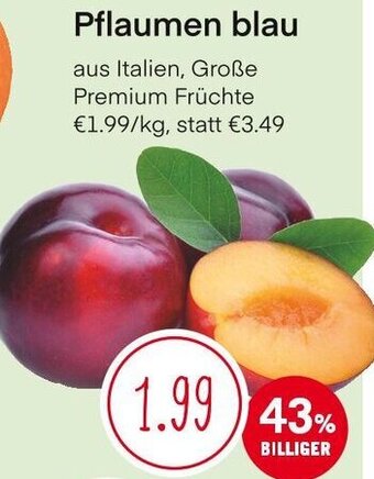 MPreis Pflaumen blau Angebot