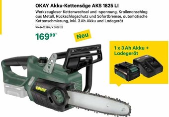 BayWa OKAY Akku-Kettensäge AKS 1825 LI Angebot