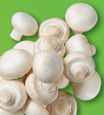 Lidl Champignons Angebot