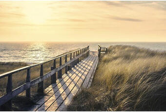 Hornbach Poster way to the sea 61x91,5 cm Angebot
