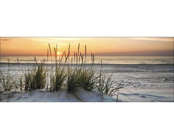 Hornbach Glasbild lonely dune 30x80 cm Angebot
