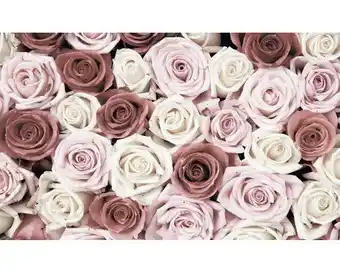 Hornbach Fototapetevlies 1629 vexxxl rosen rosa 4-tlg.416 x 254 cm Angebot