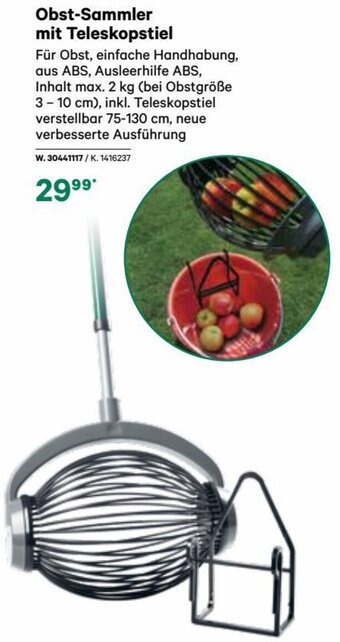 BayWa Obst-Sammler mit Teleskopstiel Angebot