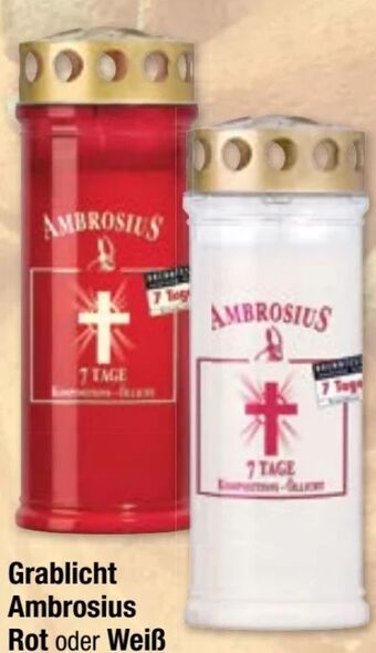 Maximarkt Grablicht Angebot