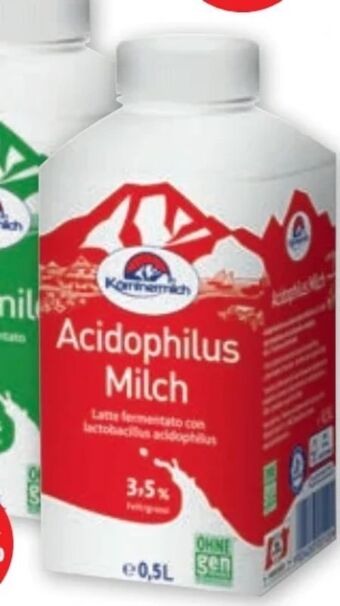 PENNY Acidophilus milch Angebot