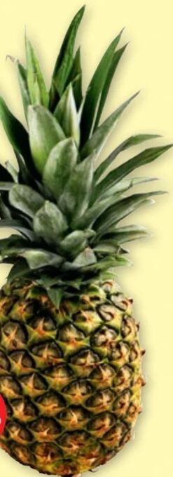 PENNY Ananas Angebot