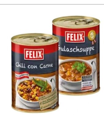 Transgourmet Gulaschsuppe Angebot