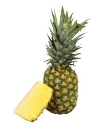 Transgourmet Ananas Angebot