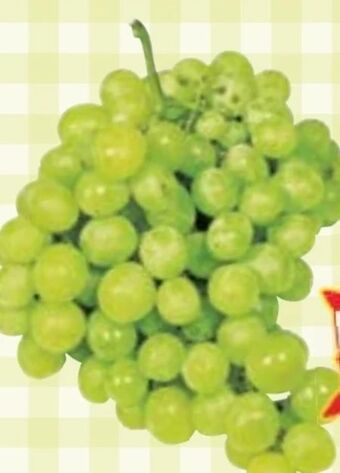 Maximarkt Trauben victoria Angebot