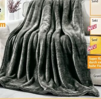 Norma Kuscheldecke knut Angebot